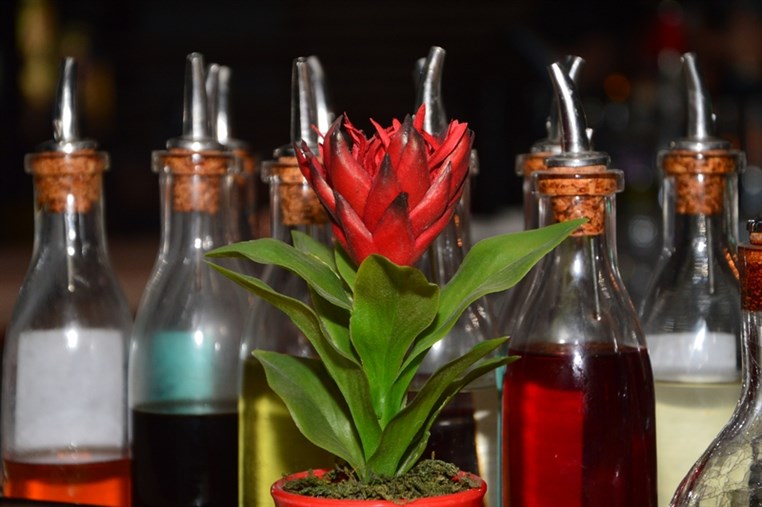 Lily's on Saturday Night 